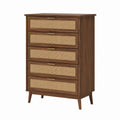 5-Drawer Wood Chest with Rattan Front in Brown